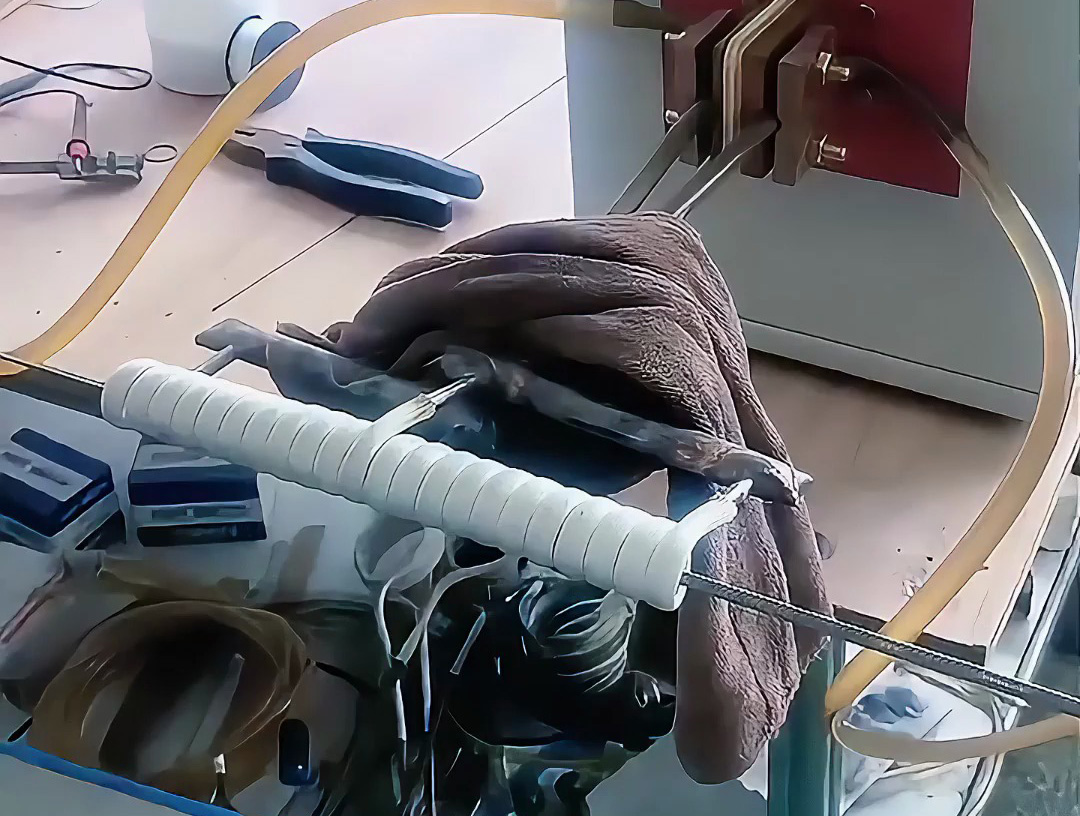 海瑞拓超高頻加熱機(jī)：不銹鋼絲在線退火的高效解決方案，賦能多領(lǐng)域線材加工